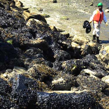 cp0726oilspill10.jpg
