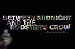 Between Midnight and the Roosters Crow: a film about EnCana in Ecuador by Nadia Drost