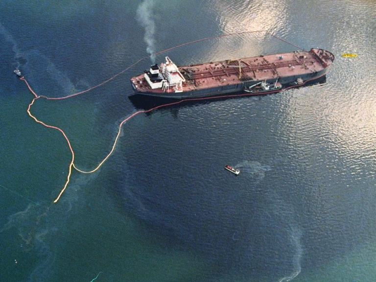 Exxon Valdez Oil Spill Biography: [Essay Example], words GradesFixer